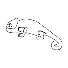 Animal Line Art Vector Graphic Decorative