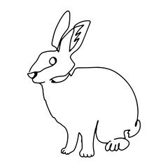 Animal Line Art Vector Graphic Decorative