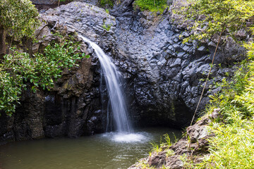 Obraz premium A stream along the Pipiwai Trail in Haleakala National Park on the island of Maui in Hawaii.