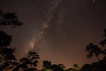 milky way with  C/2023 A3 in the sky over forest