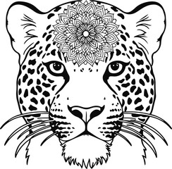 Obraz premium Leopard face with mandala pattern on head , thick lines, low details white background 8.eps