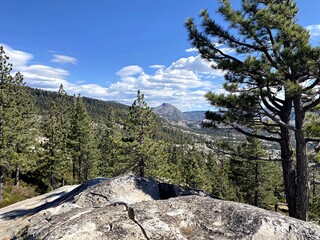 yosemite valley state