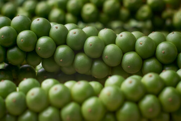closeup macro view of maturing black peppercorns, young herbal spice with peppery heat in soft focus, culinary seasoning background