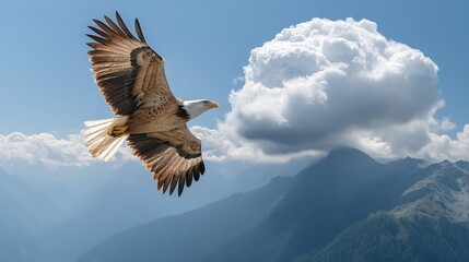 Fototapeta premium Eagle Soaring High Over Majestic Mountain Landscape
