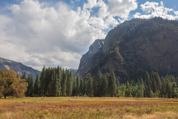 Beautiful natural landscape of Yosemite, non-urban area of ​​forest with pine trees and mountain for hiking