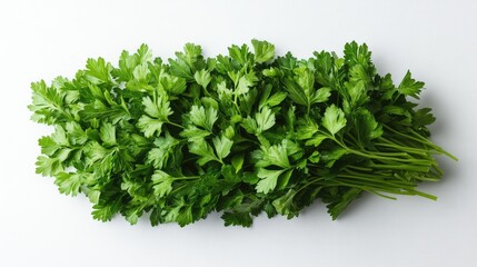 Fototapeta premium Fresh green parsley leaves on white. Perfect for food blogs, cooking tutorials, and recipes.