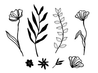 Group of plant objects. Stems with leaves and flowers. Flat vector illustration hand drawn, eps10