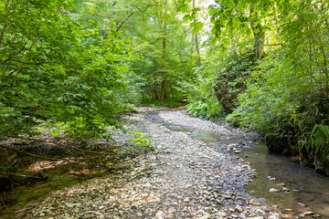 nature park , a walk along the riverbed with an overview of the stone bottom and banks