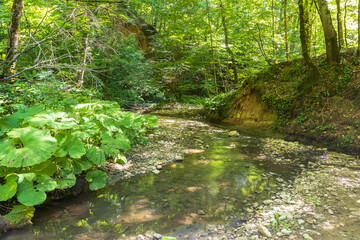 nature park , a walk along the riverbed with an overview of the stone bottom and banks