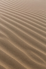 Morning ripples on the sand dune.