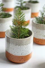 Concrete aesthetics: concrete pots highlighting the industrial style and harmonizing with natural greenery