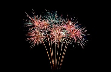 A vibrant display of colorful fireworks lighting up the night sky