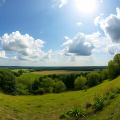 Panoramic view of a field covered in grass and trees under sunlight