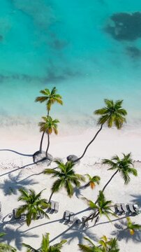 Vertical aerial top view along tropical hotel beach with white sand and palm trees. Turquoise water of the Caribbean sea. Best place for summer vacations