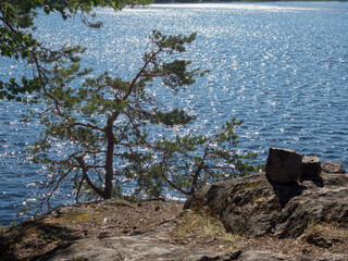 rocks on a forest lake in summer