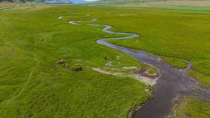 horses graze in a green meadow in the mountains next to a winding river