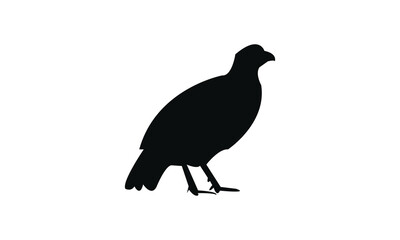 Black Pheasant silhouette And Vector Illustration. 