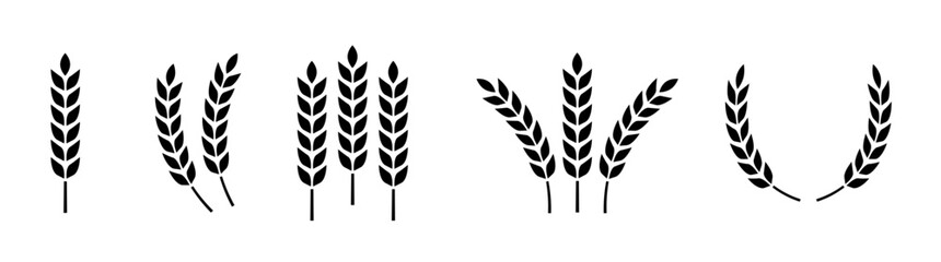 Wheat ears icon set. Wheat logo. Grain spikes set icons.Grain icon. Agriculture symbol. vector illustration