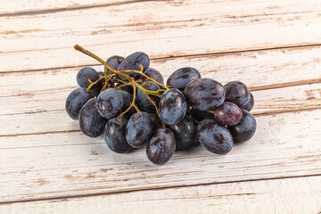 Blue juicy sweet ripe Grape bunch