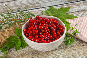 Natural organic wild forwst lingonberry