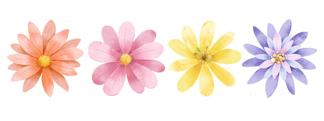 Floral set, flowers border, watercolor digital illustration for greeting card, poster, invitation and other printing design. Isolated on white. Hand painting.