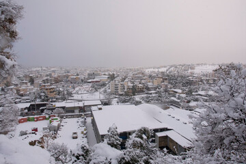 Fototapeta premium winter in the city