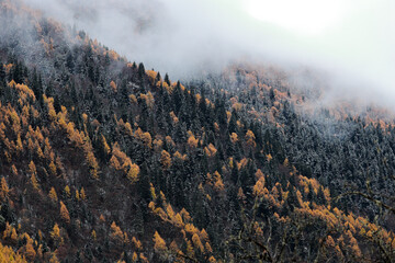 Drone aerial photography flying Landscape of Changping Valley, Siguniang National Park in western Sichuan of China.