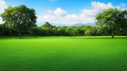 Verdant Meadows: A Tranquil Natural Landscape
