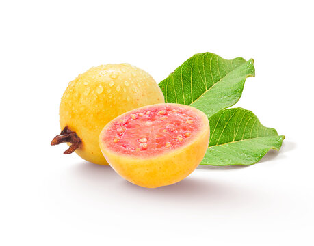 Ripe yellow guava fruit with a sliced piece with water drops isolated 