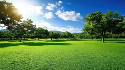 Obraz premium Verdant Meadows: A Tranquil Natural Landscape