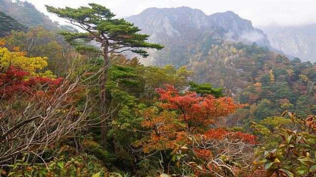 The Scenery of Autumn Forests in the Sunset Mountains - a breathtaking and idyllic visual. The autumn forests in the sunset mountains create a warm and vibrant look. It gives the impression of a seren