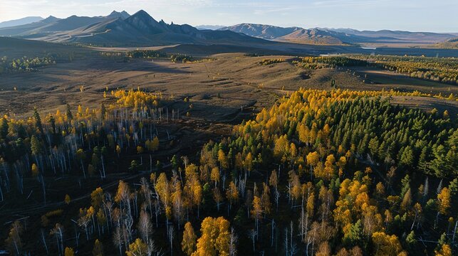 The Scenery of Autumn Forests in the Sunset Mountains - a breathtaking and idyllic visual. The autumn forests in the sunset mountains create a warm and vibrant look. It gives the impression of a seren