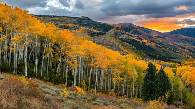 The Scenery of Autumn Forests in the Sunset Mountains - a breathtaking and idyllic visual. The autumn forests in the sunset mountains create a warm and vibrant look. It gives the impression of a seren