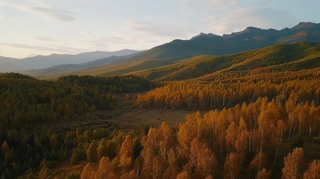The Scenery of Autumn Forests in the Sunset Mountains - a breathtaking and idyllic visual. The autumn forests in the sunset mountains create a warm and vibrant look. It gives the impression of a seren