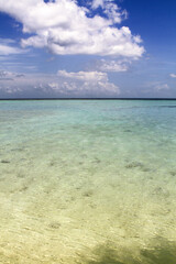 Obraz premium beach with blue sky