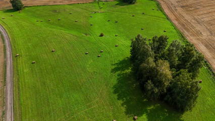 a green meadow field with hay rolls and a country road