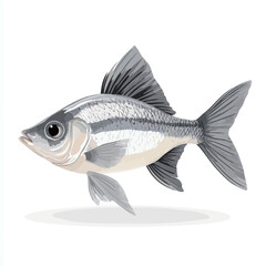 Fish on a white background. Vector illustration for your design 