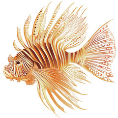 Gold fish isolated on a white background. Vector illustration. 