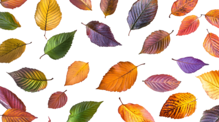 Falling fall leaves in vibrant colors on white, isolated in mid-air, clear details on each leaf’s texture and shape