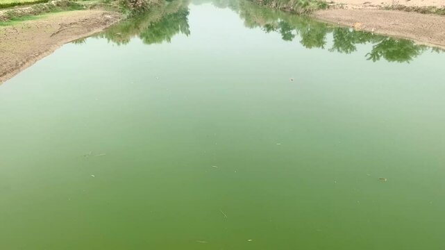 Beautiful Canal Wiew royalty. natural beauti of village canal. Layyah pakistan. Natural scenery canal water. Beautiful 4K Footage.