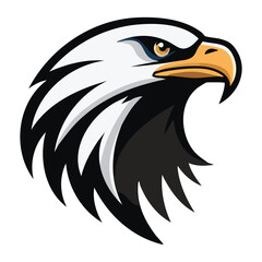 Fototapeta premium Illustration of a majestic eagle head