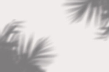 Shadow Window Overlay