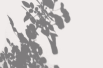 Shadow Window Overlay