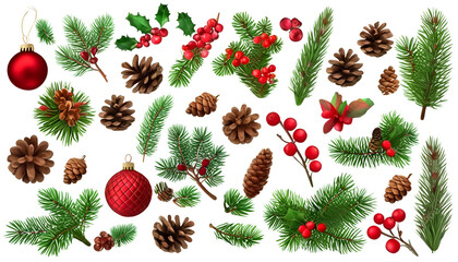 Christmas tree on a white background. 