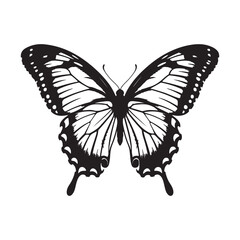 Fototapeta premium Vector illustration of butterfly on white background