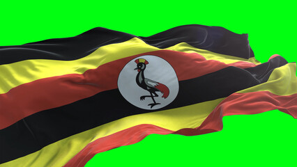 Uganda flag - 3D realistic waving flag on green screen background for chroma key