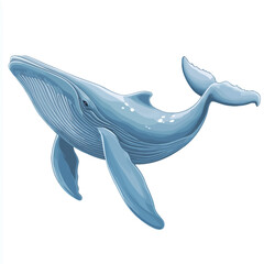 Vector illustration of a blue whale isolated on white background. Cartoon style.