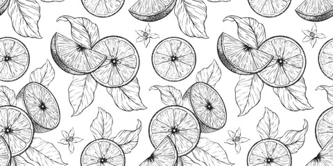 Lemon's slices, half a lime fruits, flowers and leaves. Hand drawn vector seamless pattern. Print of Tropical citrus fruit. Background for menu, package, cosmetic, textile, cards