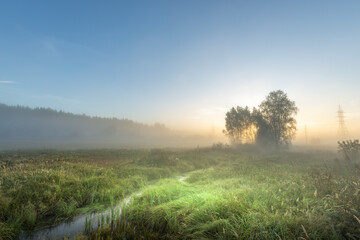 A foggy morning in a field with a tree in the distance