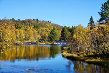 Fall coloured trees line the shore of the Stroemme-elva river north of Roeros, Norway